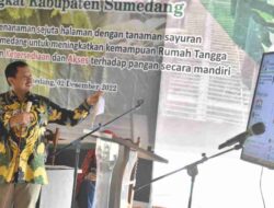 Gerakan Teras Hejo Dukung Kemandirian Pangan di Sumedang