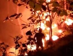 3 Hektare Perkebunan di Pangandaran Terbakar