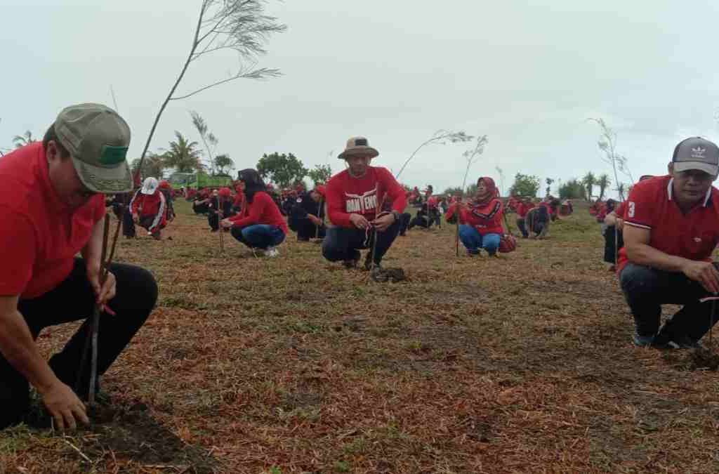 Tanjung Cemara Karangtirta Pangandaran Perlu Reboisasi