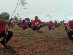 Tanjung Cemara Karangtirta Pangandaran Perlu Reboisasi