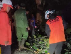 Pohon Tumbang di Cadas Pangeran Sumedang, BPBD Imbau Pengguna Jalan Waspada