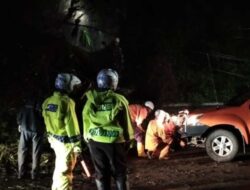 Pohon Tumbang di Pamulihan Sumedang, Polisi dan BPBD Gerak Cepat