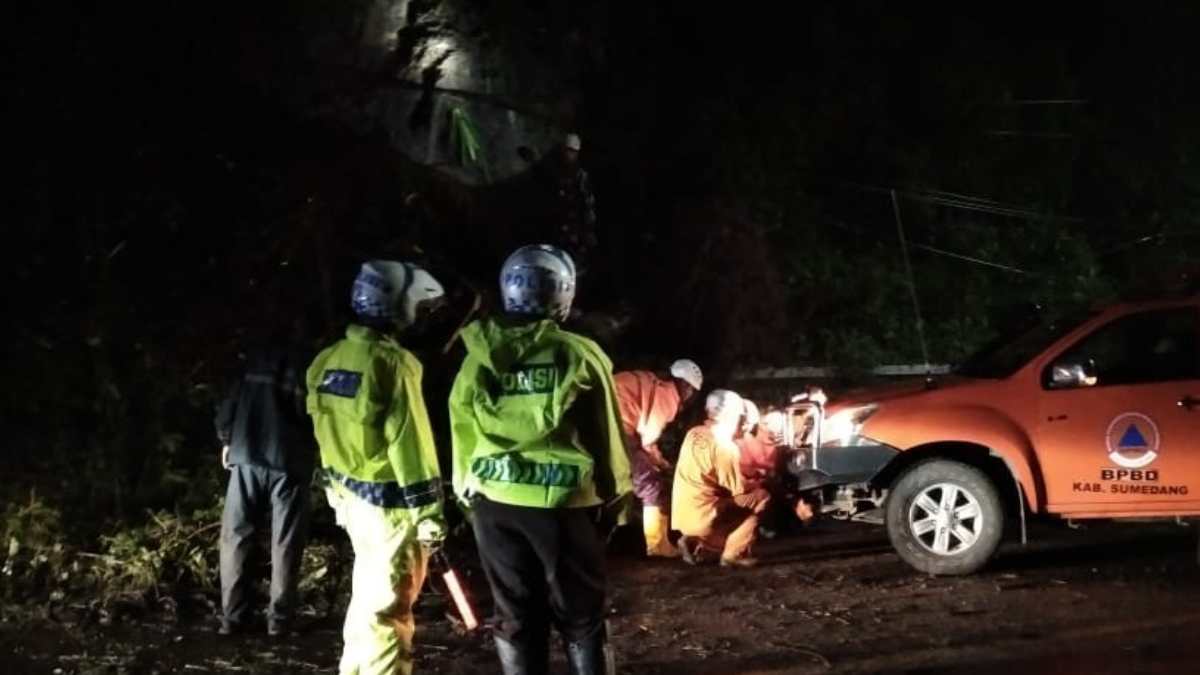 Pohon Tumbang di Pamulihan Sumedang, Polisi dan BPBD Gerak Cepat