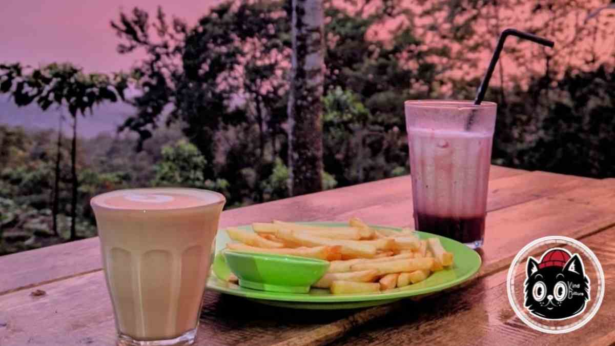 Kind Culture Coffee Tasikmalaya, Cafe Hits di Tengah Hutan Pinus