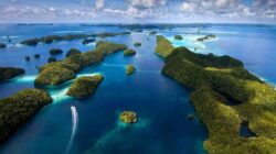 Palau Island, Destinasi Wisata Favorit di Tengah Samudera Pasifik