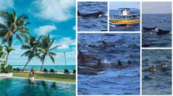 Pesona Wisata Sri Lanka