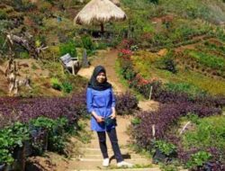 Taman Bunga Puncak Kalang Tasikmalaya, Wisata Impian Khas Budaya Sunda