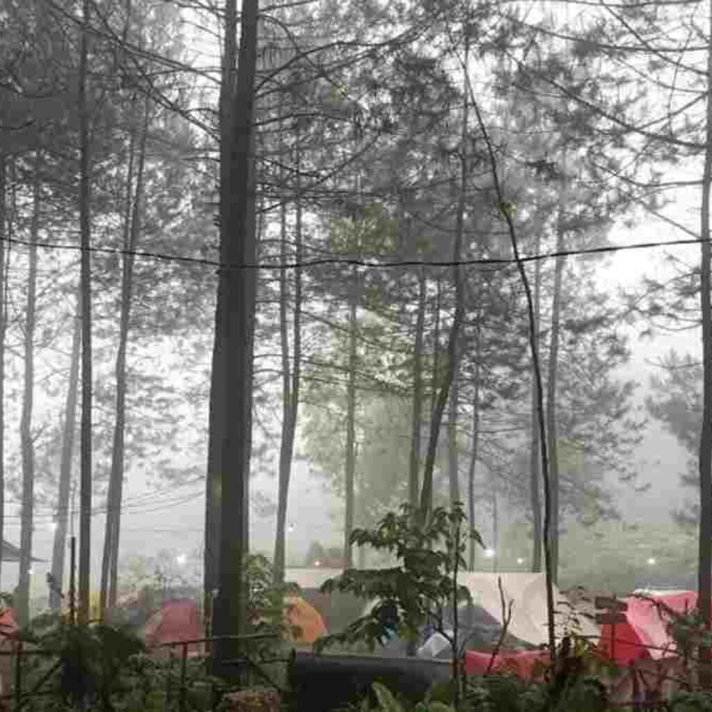 Bukit Nangreu Galunggung Tasikmalaya, Serunya Camping di Tengah Hutan Pinus