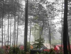Bukit Nangreu Galunggung Tasikmalaya, Serunya Camping di Tengah Hutan Pinus