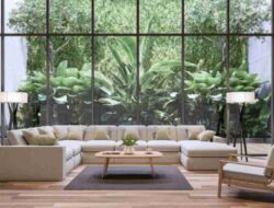 Rekomendasi Taman untuk Rumah Minimalis, Manfaatkan Ruang Terbatas Jadi Lebih Indah