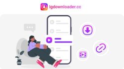 IGdownloader.cc for Instagram