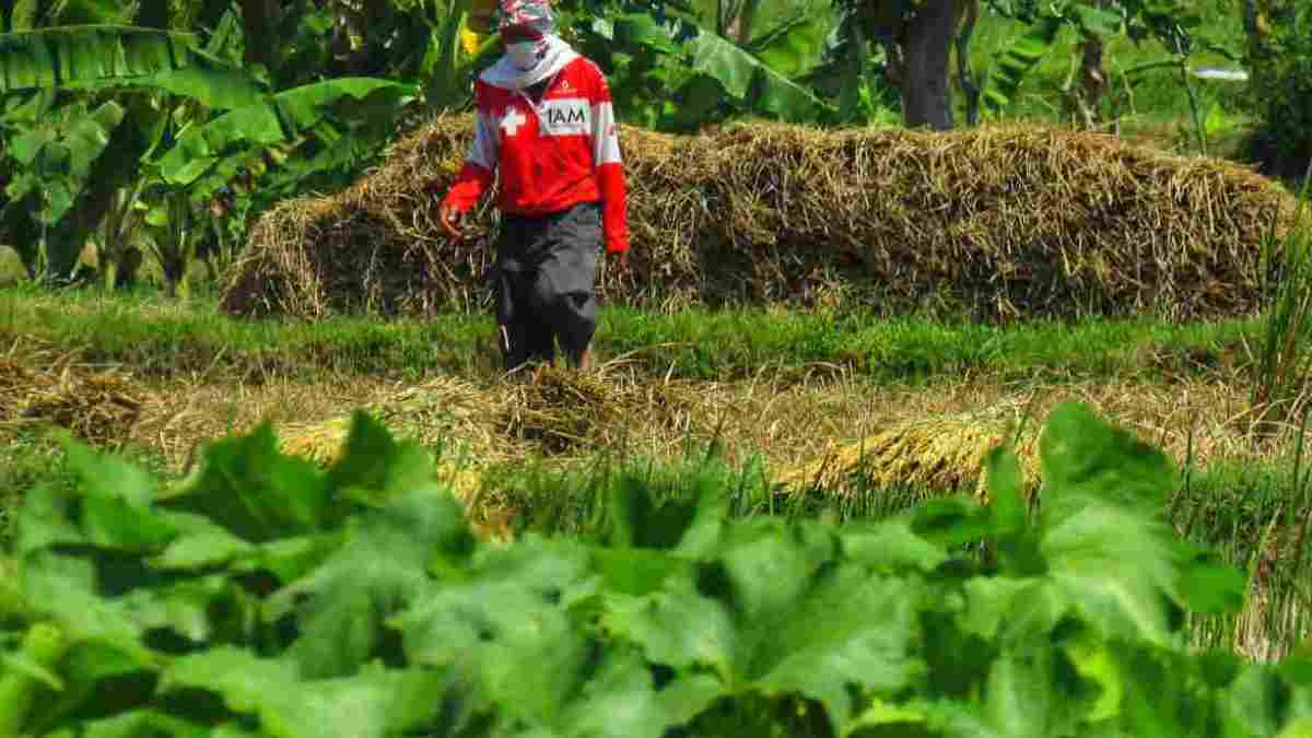 Optimalkan DBHCHT 2024, Pemkab Sumedang