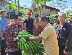 Pj Bupati Sumedang Puji Program Samawana Cimalaka