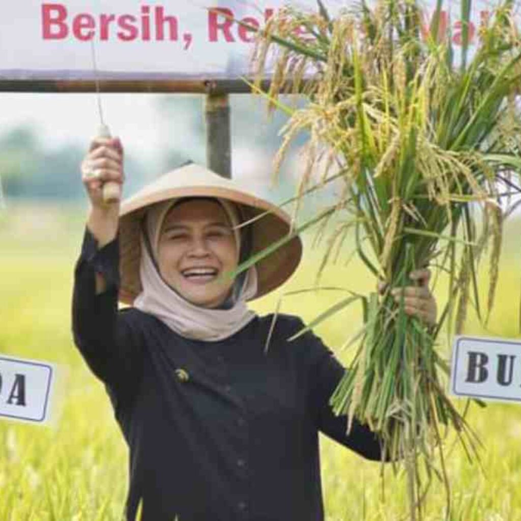 Indramayu Jadi Percontohan Pertanian Organik di Indonesia