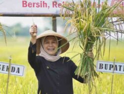 Indramayu Jadi Percontohan Pertanian Organik di Indonesia