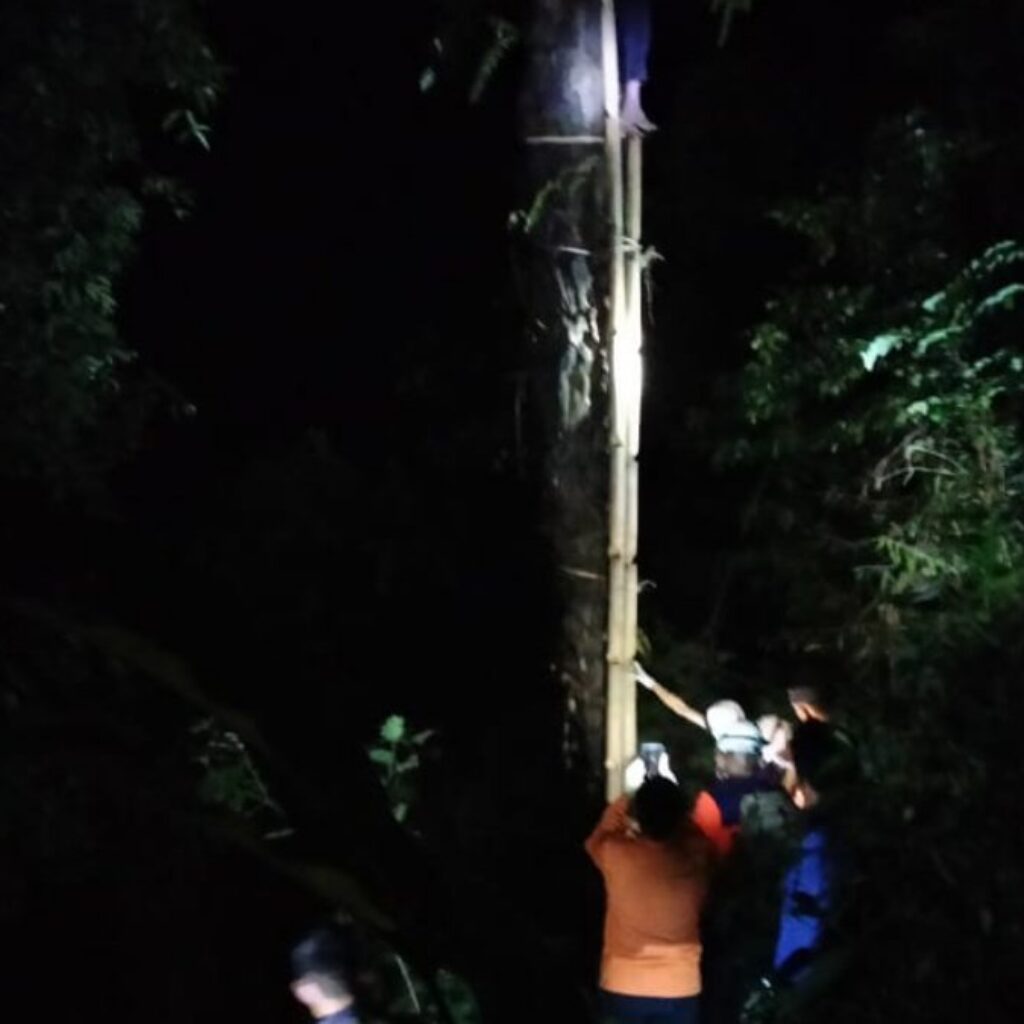 Buruh Sadap asal Sumedang Tewas Tergantung di Pohon Aren, Diduga Kecelakaan Kerja