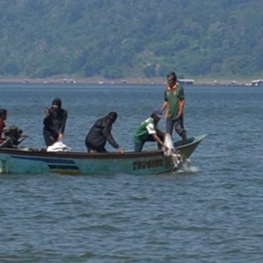 Jaga Sumber Daya Air di Waduk Jatigede, Balonbup Sumedan Ini Tebar 16.000 Benih Ikan