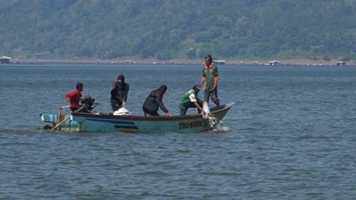 Jaga Sumber Daya Air di Waduk Jatigede, Balonbup Sumedan Ini Tebar 16.000 Benih Ikan