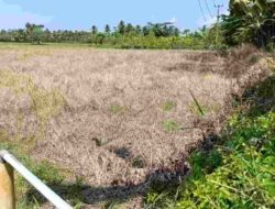 Warga Sulit Dapat Air, Tiga Kecamatan di Pangandaran Dilanda Kekeringan