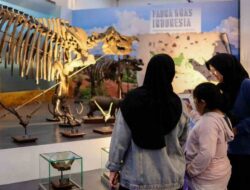 Sensasi Eksplorasi di Night At The Museum Geologi Bandung