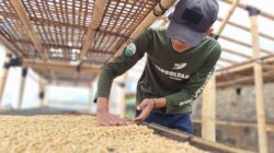 Cerita Petani Kopi Sumedang