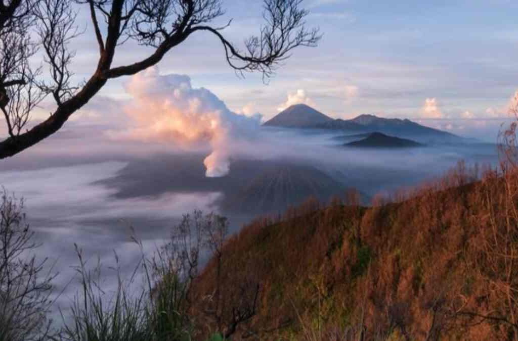 Petualangan Epik di Gunung Bromo, Surga Wisata di Jawa Timur