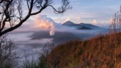 Petualangan Epik di Gunung Bromo, Surga Wisata di Jawa Timur