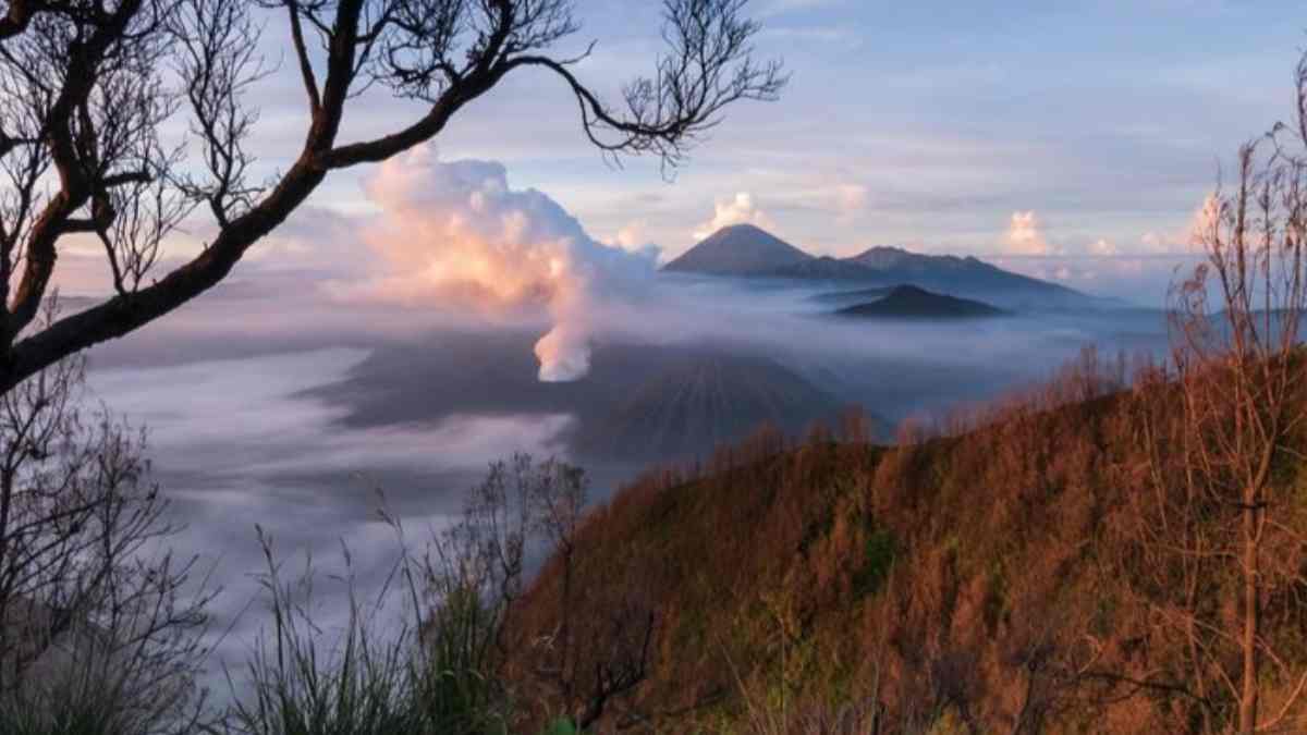 Petualangan Epik di Gunung Bromo, Surga Wisata di Jawa Timur