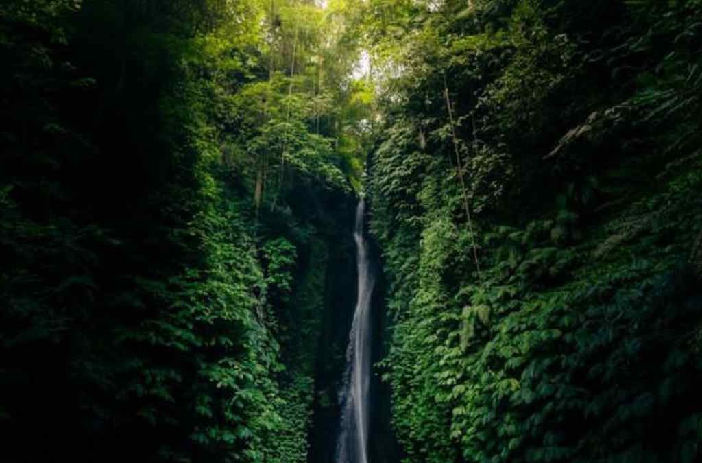 Ubud Bali