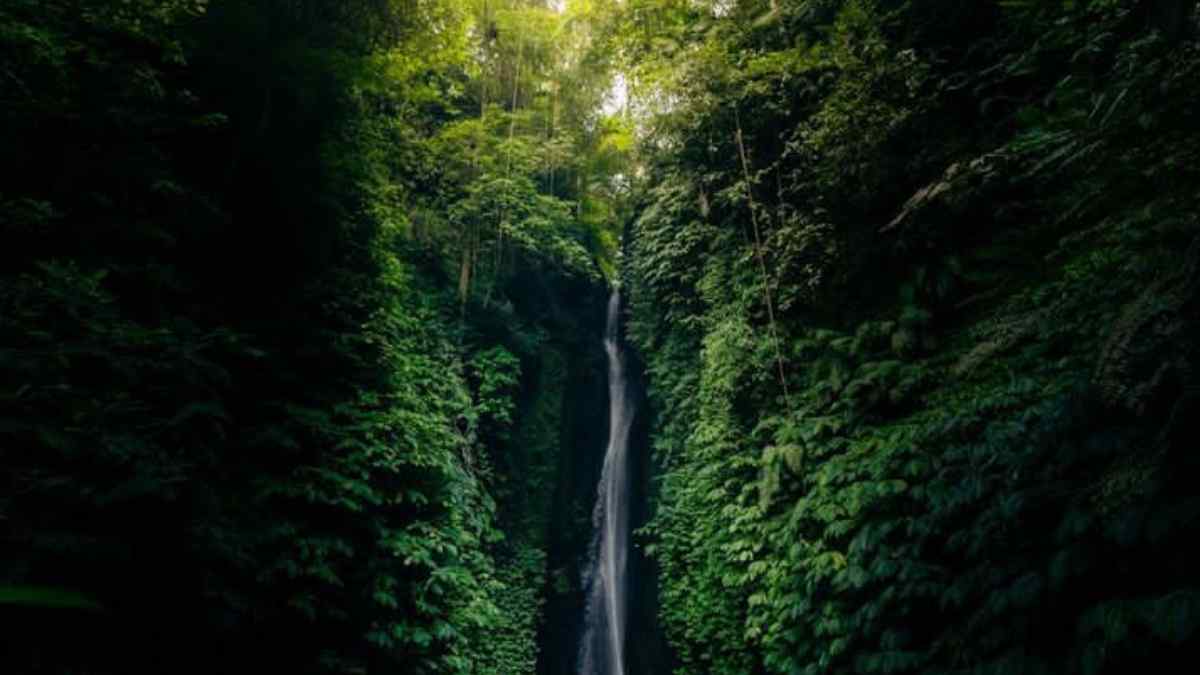 Ubud Bali