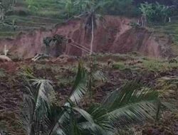 Longsor Terjang Cilipung Sumedang, Areal Persawahan dan Sumber Air Tertimbun