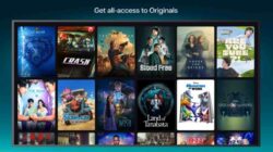 Disney+ Hotstar Platform Digital