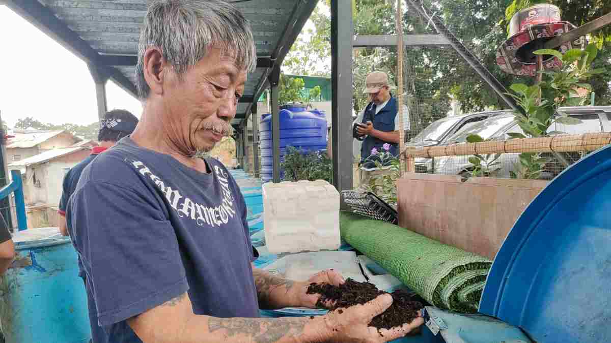 Inovasi KSM Tamansari Kota Bandung, Olah Sampah dengan Maggot