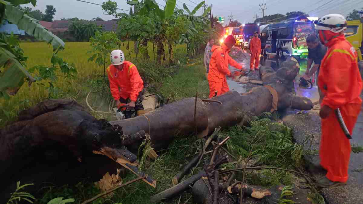 Pohon Tumbang Timpa Kontainer di Tomo Sumedang