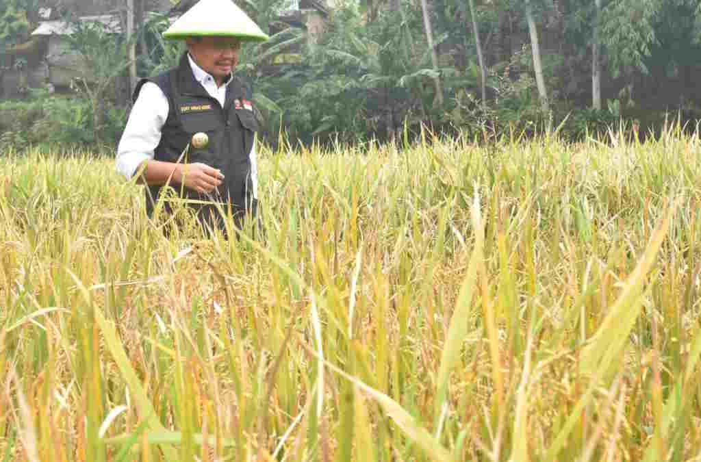 Irigasi Bendung Cariang Ujungjaya dan Sentig Ganeas di Sumedang Dibangun Tahun Ini