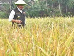 Irigasi Bendung Cariang Ujungjaya dan Sentig Ganeas di Sumedang Dibangun Tahun Ini