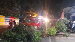 Mobil Derek Tabrak Pohon di Tanjungsari Sumedang