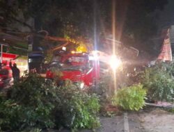 Mobil Derek Tabrak Pohon di Tanjungsari Sumedang: Rusak Bangunan, Pemotor Jadi Korban