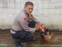 Warga Sumedang Temukan Bom Aktif dan Puluhan Peluru