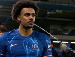 Bayern Bidik Renato Veiga Jika Kim Min-Jae Cabut dari Jerman