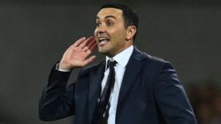 Raffaele Palladino Resmi Jadi Pelatih Baru Atalanta