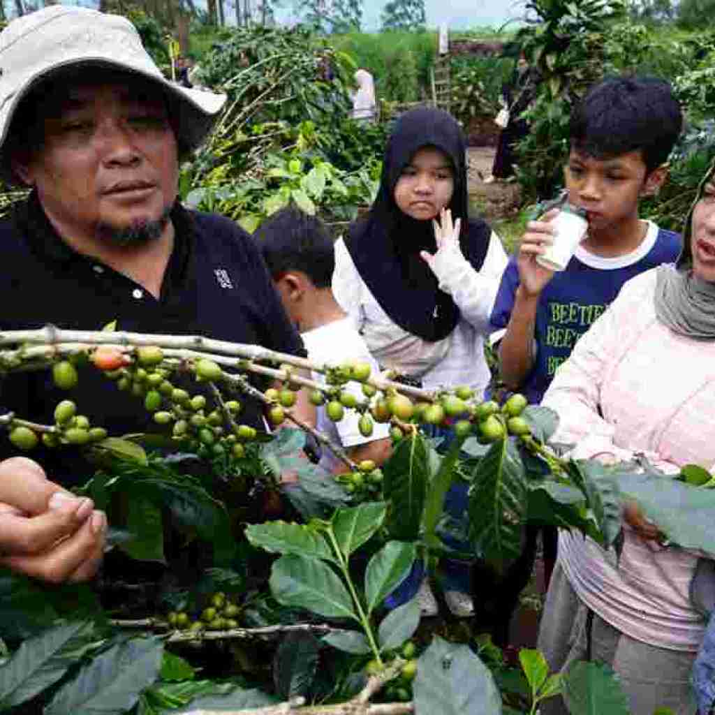 Dukungan Jamkrindo Untuk UMKM Naik Kelas