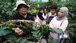 Dukungan Jamkrindo Untuk UMKM Naik Kelas