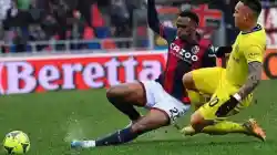 Jhon Lucumi Tolak Tawaran Kontrak Baru dari Bologna, Sunderland