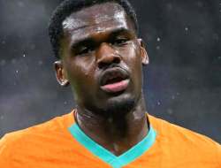 Lahir di Prancis, Bonny Pilih Bela Pantai Gading Demi Piala Dunia 2026