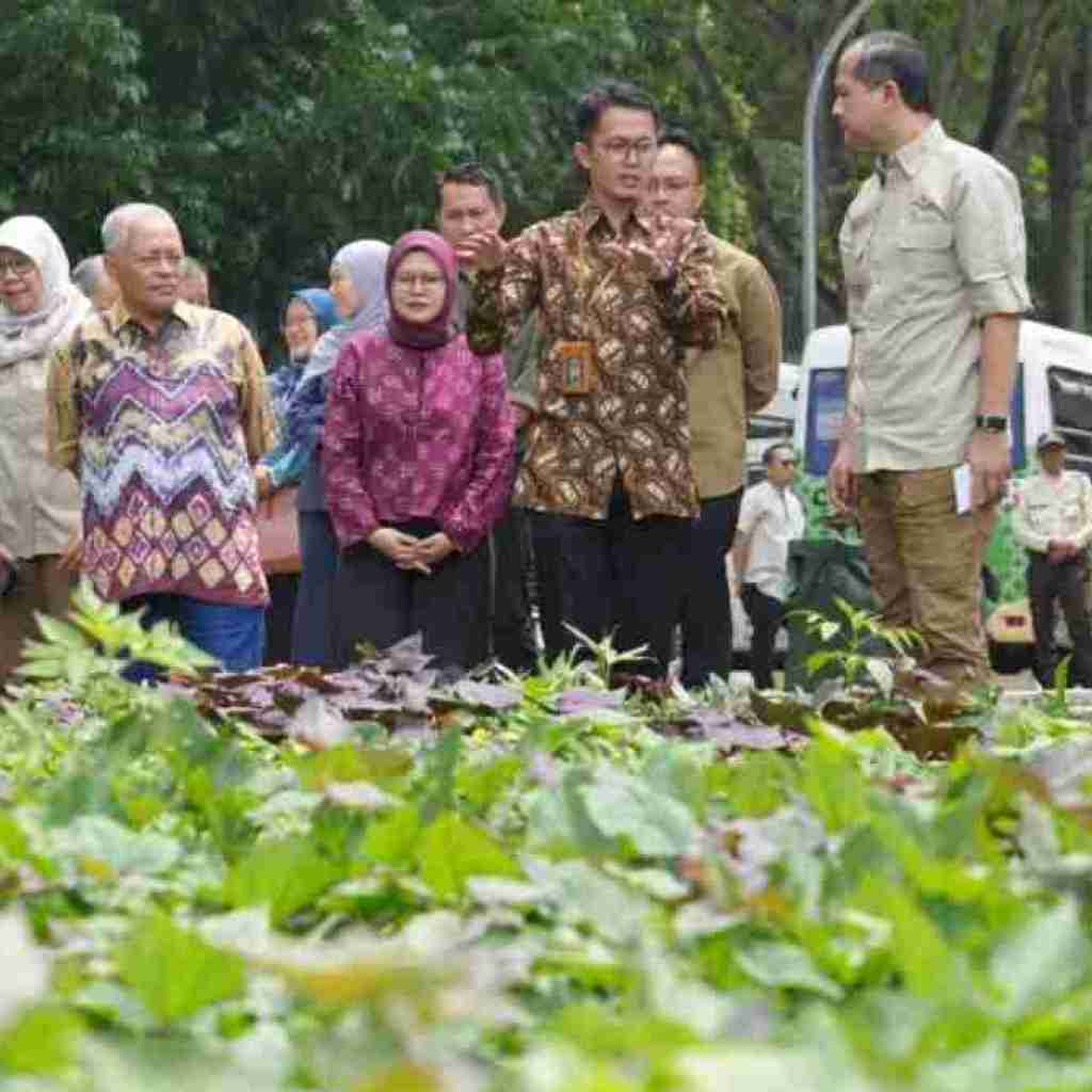 Kementerian Transmigrasi dan Unpad Jajaki Kolaborasi Bangun Ekosistem Ubi Terintegrasi