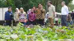 Kementerian Transmigrasi dan Unpad Jajaki Kolaborasi Bangun Ekosistem Ubi Terintegrasi