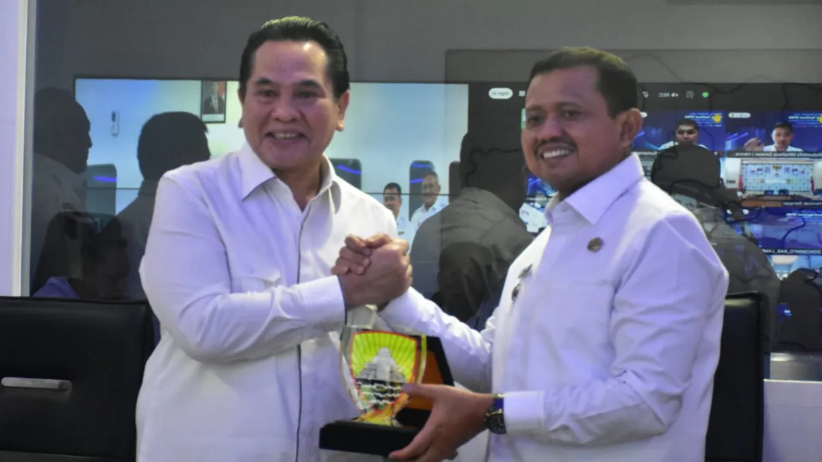 SPBE, Dorong Transformasi Digital Terintegrasi di Daerah