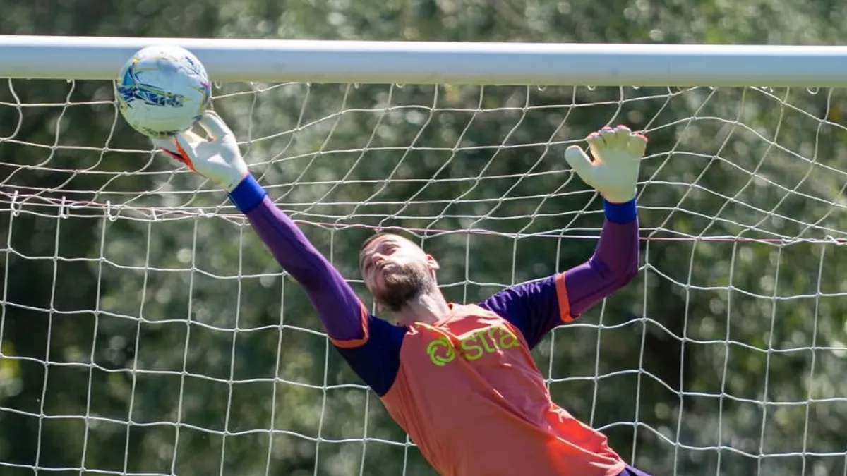 Fiorentina Nego Ulang Kontrak David de Gea