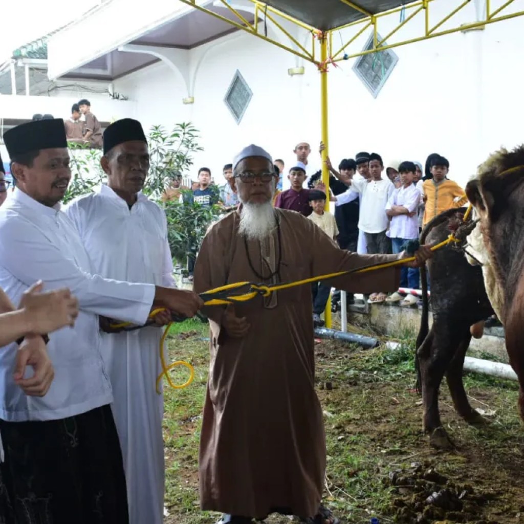 Masjid Agung Sumedang Terima Sapi Kurban 1 Ton dari Presiden Prabowo